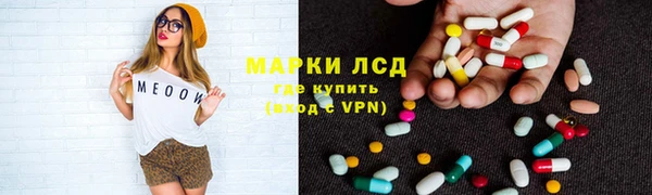 прущие грибы Балабаново