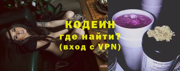 прущие грибы Балабаново