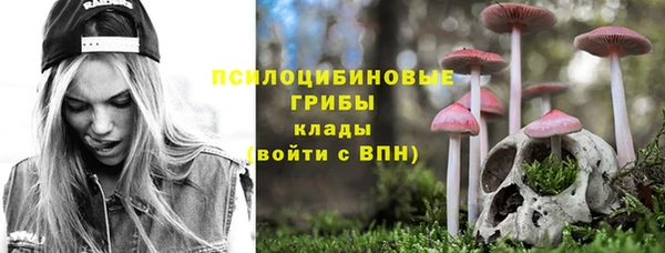 прущие грибы Балабаново