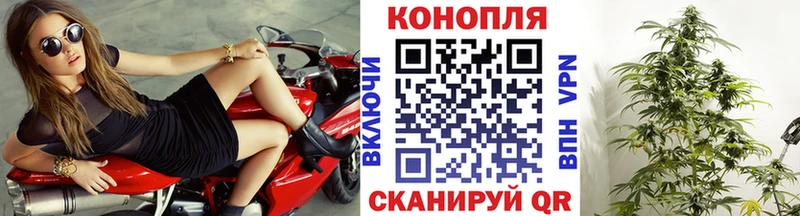 Каннабис Amnesia Семёнов